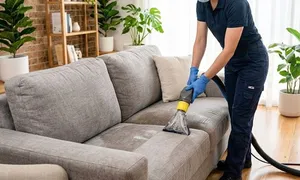 green-touch-trading_dealimage_home-cars_sofa-carpet.jpg