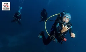 q-drivers-_dealimage_entertainment-dive-4copy.jpg