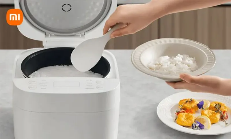 Xiaomi Smart Multifunctional Rice Cooker – App Control | Multi-Cook | Keep Warm!