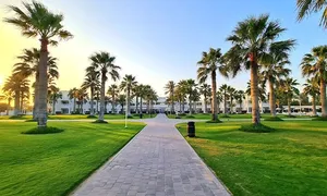 sealine_-dealimage_fb_eid-3-copy.jpg