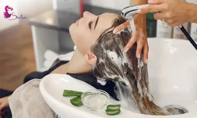 Natural Hair Treatment: Aloe or Coconut + Blow Dry!