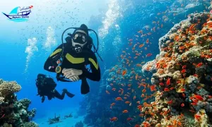 alghais-diving-center-_dealimage_entertainment_scuba-dive-12copy.webp