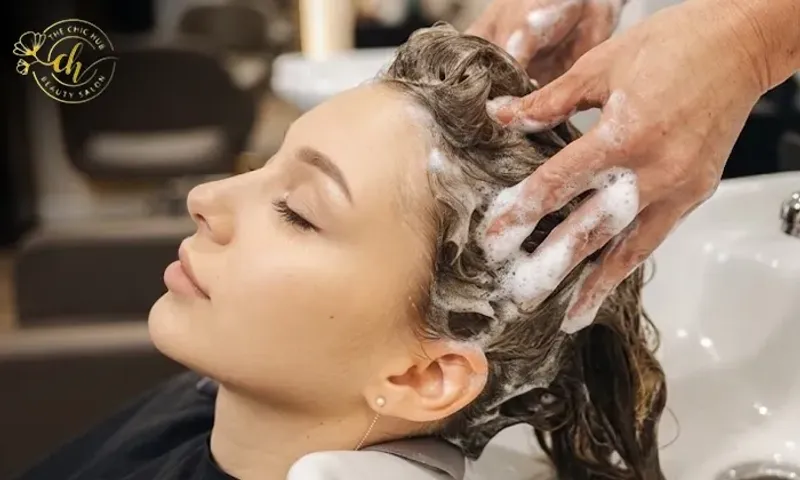 Anti-Dandruff Scalp Treatment + Hair Wash & Blow-Dry at The Chic Hub Beauty Salon!