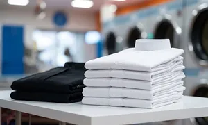 master-clean-laundry_-dealimage_home-and-cars_laundry-1copy.jpg