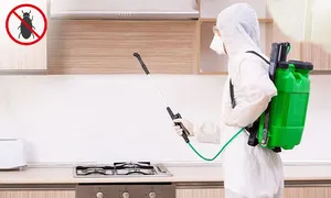 arsh_dealimage_homecars_pest-bugs-2-copy.jpg