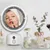 green-lion-makeup-mirror-fan_dealimage_product-copy-3.jpg