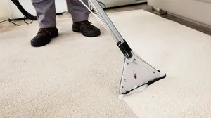 Sofa, Mattress & Carpet Cleaning Services!