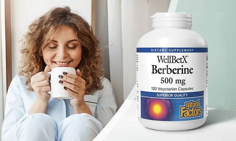 Natural Factors WellBetX Berberine (500mg per capsule) - 120 Vegetarian Capsules