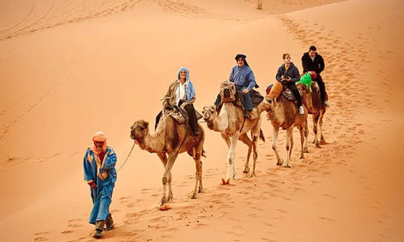 Adventure Time! Half-Day Desert Safari with Snacks & Camel Ride!