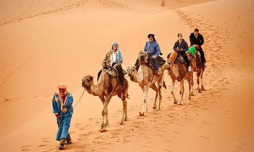Adventure Time! Half-Day Desert Safari with Snacks & Camel Ride!