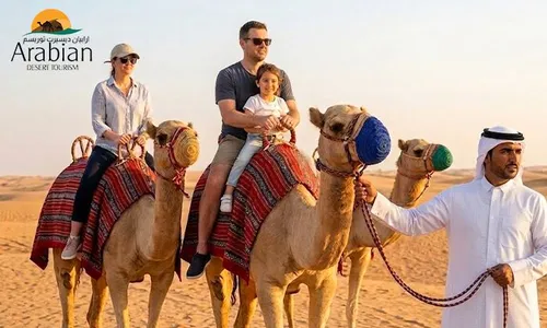 Half-Day Desert Adventure & Traditional Keshta with Arabian Desert Tourism!