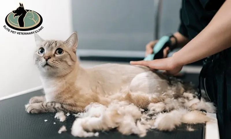 Pet Grooming for Cats & Dogs at Elite Pet Veterinary!