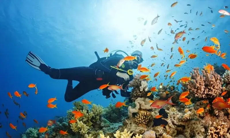 Explore the Underwater World in a Discover Scuba® Diving Experience by Deep Blue Diving Center!