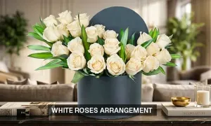 2__04.webp