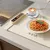 aveva-electric-folding-food-warmer-mat-_dealimage_product-copy-3.jpg