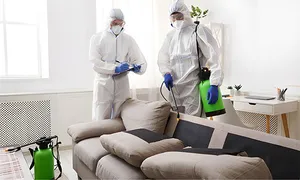 baraka_deal-image_home-and-cars-_pest-2-copy.jpg