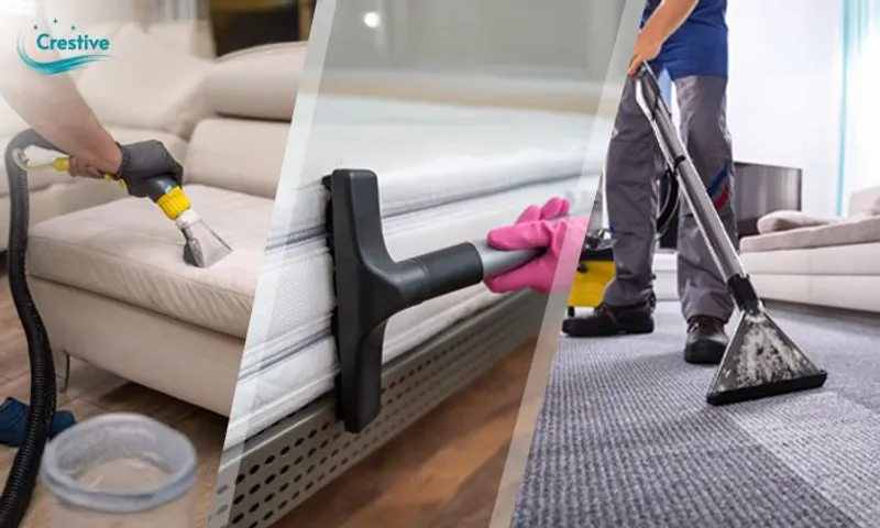 Sofa, Mattress & Carpet Cleaning Services!