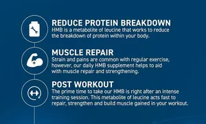 applied-nutrition-hmb-500mg-capsules_dealimage_-copy.jpg