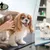 elite-pet-_deal-image_health-clinic-_dog-vaccin-copy3-.jpg