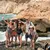 two-four-seven-_dealimage_fb_oman-salalah-10-copy.jpg