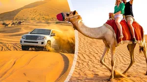 Adventure Time! Half-Day Desert Safari with Snacks & Camel Ride!