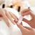 sg-beauty_-dealimage_beauty-spa_mani-pedi-2.jpg