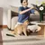 mijia-smart-pet-care-air-purifier_2.jpg