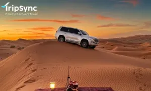 tripsync-travel_dealimage_entertainement_night-safari-copy.webp