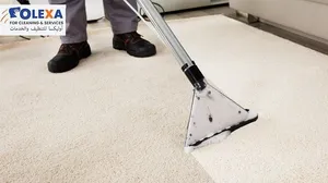 Sofa, Mattress & Carpet Cleaning Services!