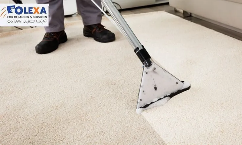Sofa, Mattress & Carpet Cleaning Services!