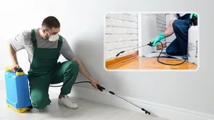 Interior OR Exterior Pest Control Services!