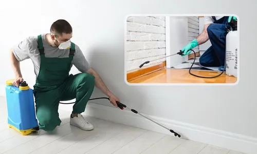 Interior OR Exterior Pest Control Services!