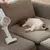 xiaomi-vacuum-cleaner-g20-pro_dealimage_product-3copy.jpg