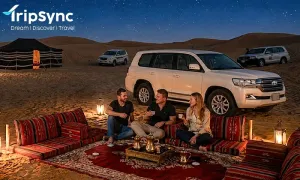 tripsync-travel_dealimage_entertainement_night-safari-1-copy.webp