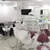 dr-walid-_deal-image_health-clinic-_dental-3-copy.jpg