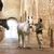 al-samriya-deal-image-new-01.jpg