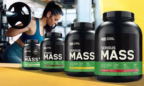 Optimum Nutrition Serious Mass!