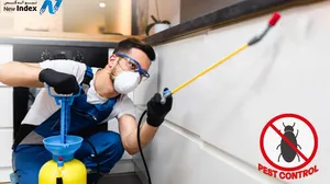 Pest Control Services!