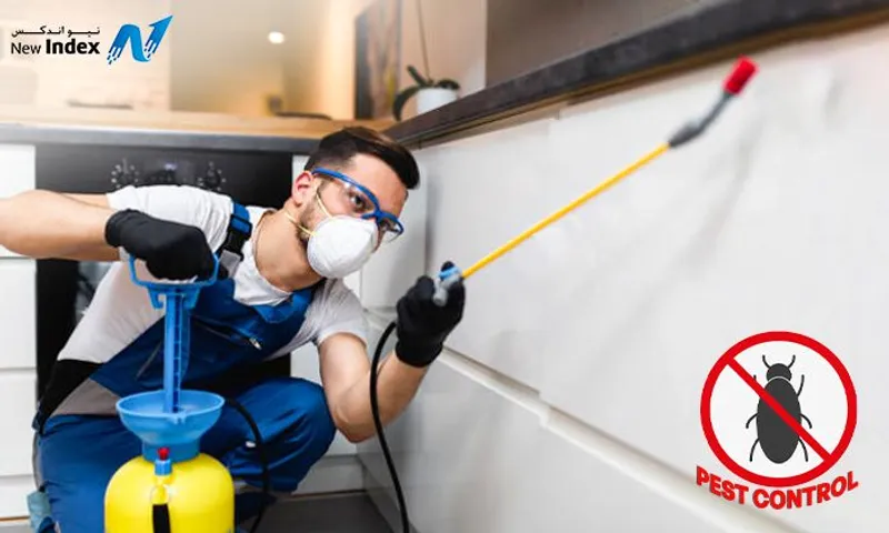 Pest Control Services!