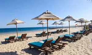 sealine_-dealimage_fb_pool-beach-7.jpg