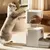xiaomi-smart-pet-food-feeder-2_2.jpg