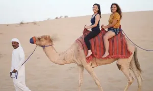 tripsync-travel_dealimage_entertainement_night-safari-3-copy.webp