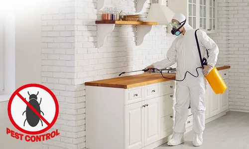 Shield Your Space with Pest Control Treatment!