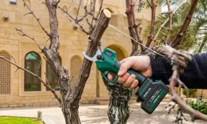 green-lion-electric-pruning-shears_dealimage_product-copy-2.webp