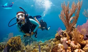 alghais-diving-center-_dealimage_entertainment_scuba-dive-3-copy.webp