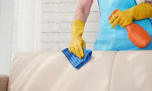 home-cleaning-and-assistance-deal-image-03__02.jpg
