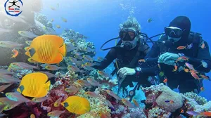 Explore the Underwater World in a Discover Scuba® Diving Experience by Deep Blue Diving Center!