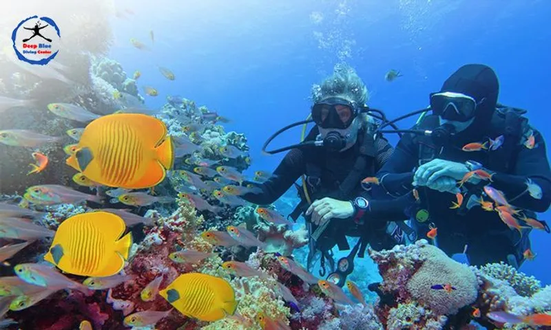 Explore the Underwater World in a Discover Scuba® Diving Experience by Deep Blue Diving Center!