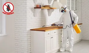 first-to-last_dealimage_home-cars_pest-control-2-copy.jpg