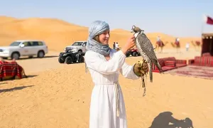 tripsync-travel_dealimage_entertainement_city-tour-safari-1copy.webp
